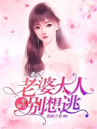 沈蔓歌叶南弦全文完整版