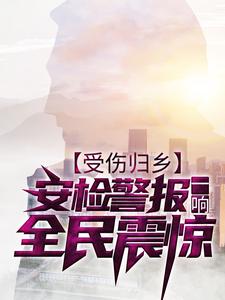 受伤归乡，安检警报一响，全民震惊