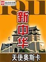 1911新中华小说书评